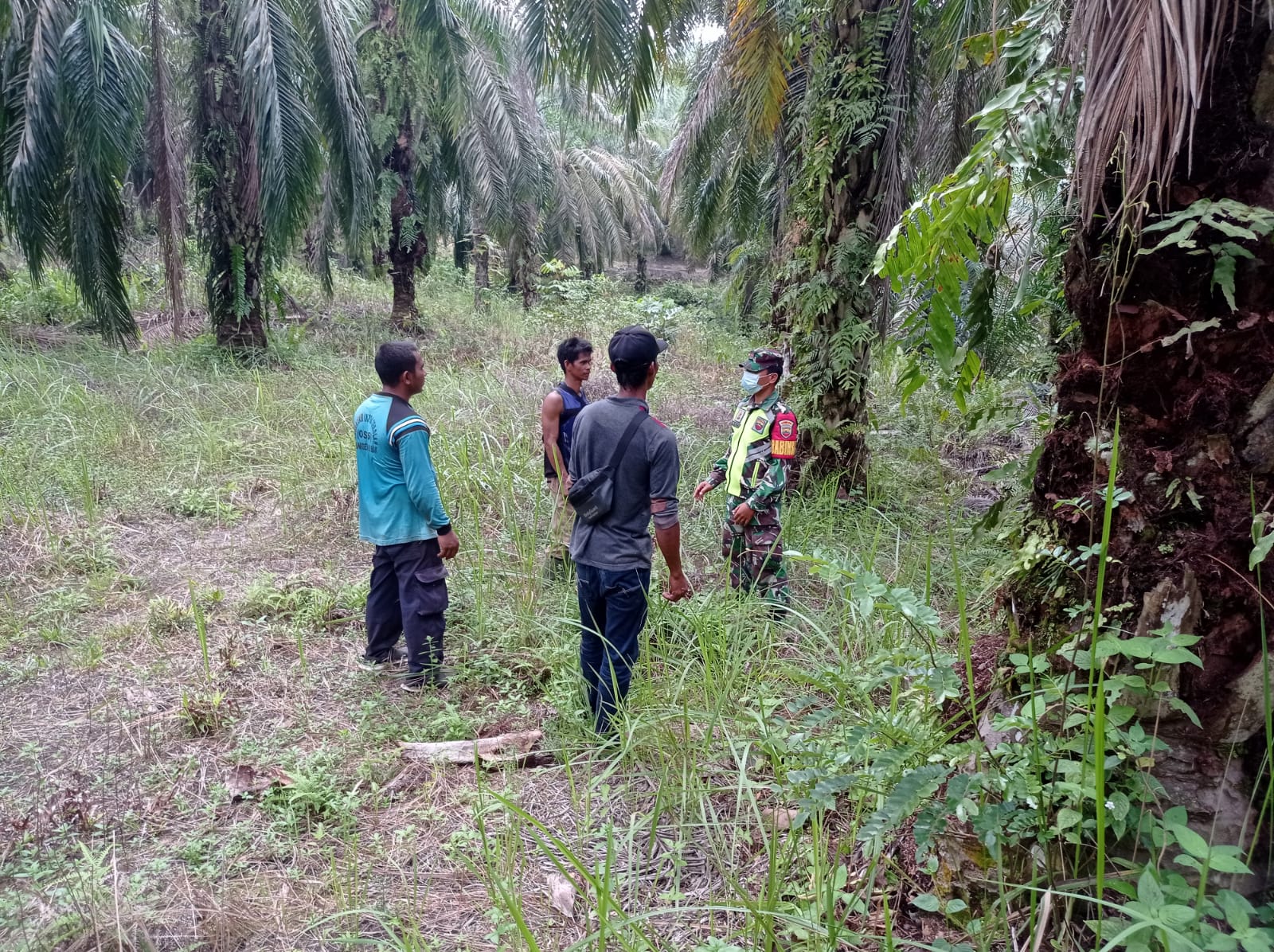 Babinsa 04/Perawang Kopda Lagi Sigalingging Patroli Karhutla