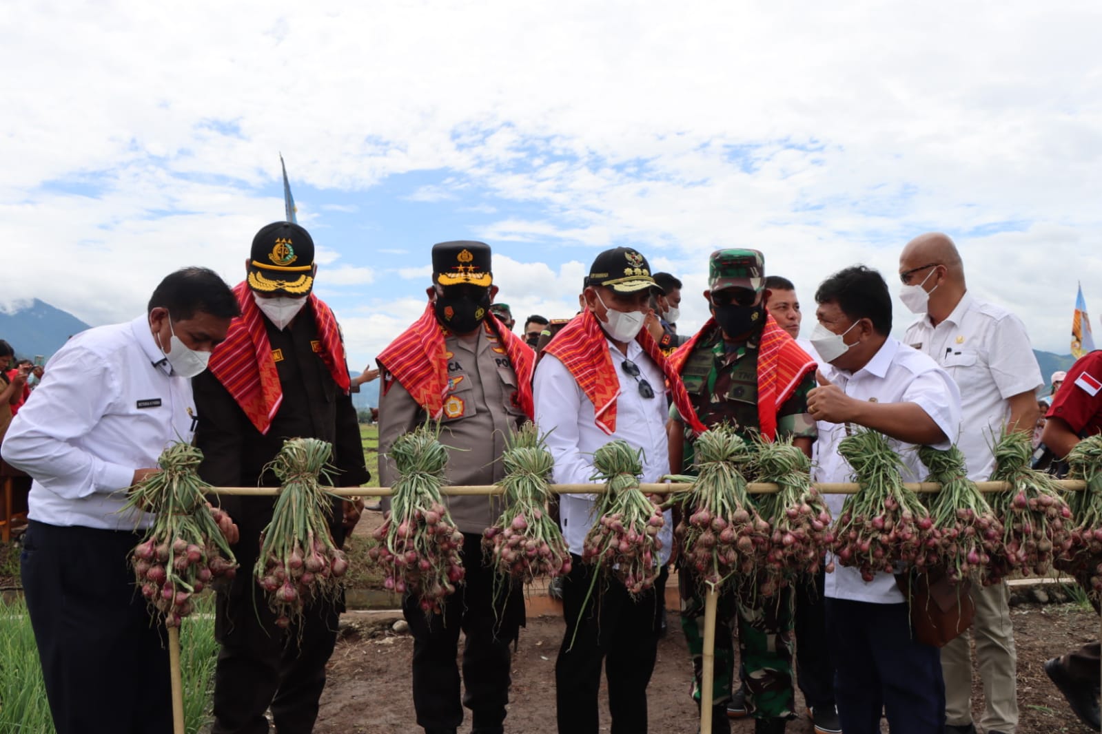 Kapolda Sumut Bersama Gubsu dan Pangdam I/BB Panen Raya Padi di Mardingding