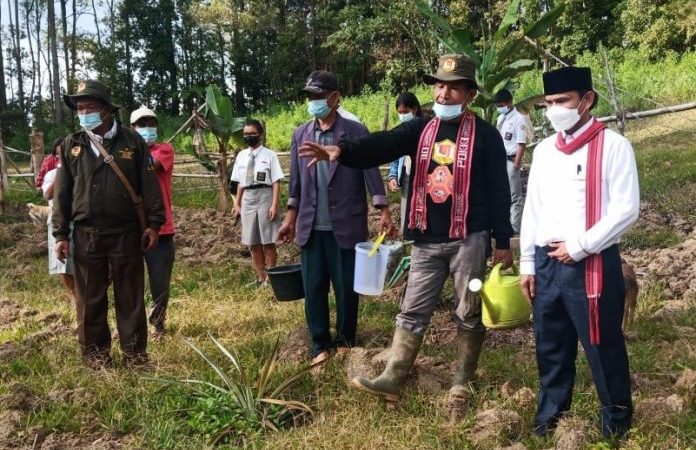 Wakil Ketua DPRD Samosir, Panen Madu Bersama Pokdarwis