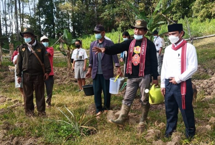 Wakil Ketua DPRD Samosir, Panen Madu Bersama Pokdarwis