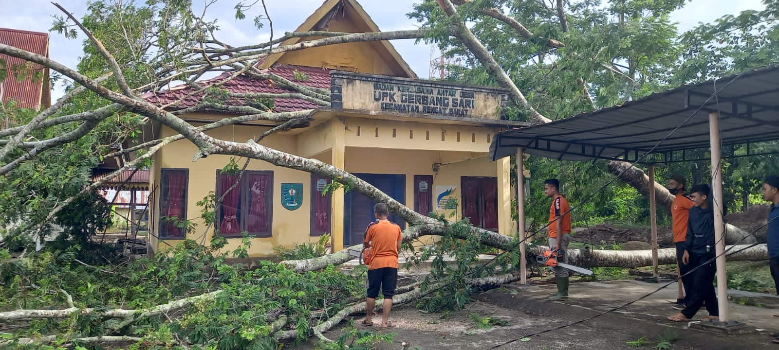 Hujan Ekstrim, KPBD Inhu Lakukan Pembersihan Pohon Yang Tumbang & PLN dengan Sigap Atasi Pohon Menimpa Jaringan Listrik