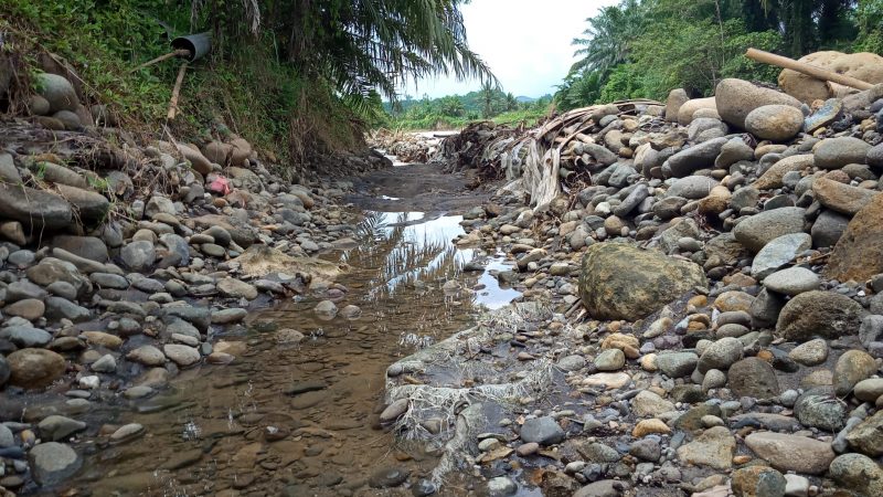Kampung Perikanan Budidaya Mbaruai Tanpa Irigasi