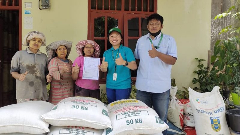PT TPL Bantu Pupuk Bagi Petani Padi Sistem Jajar Legowo