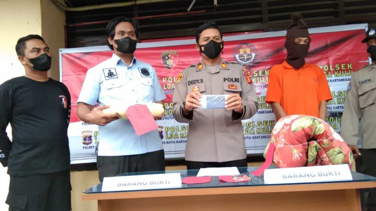 Polsek Loa Kulu Amankan Seorang Pria Nodai Gadis 16 Tahun Hingga Hamil