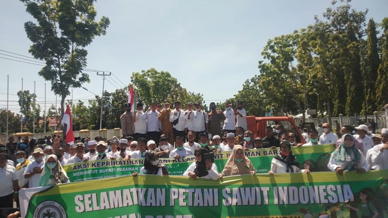 Harga TBS Anjlok, Apkasindo Pasbar Lakukan Aksi di Halaman Kantor Bupati