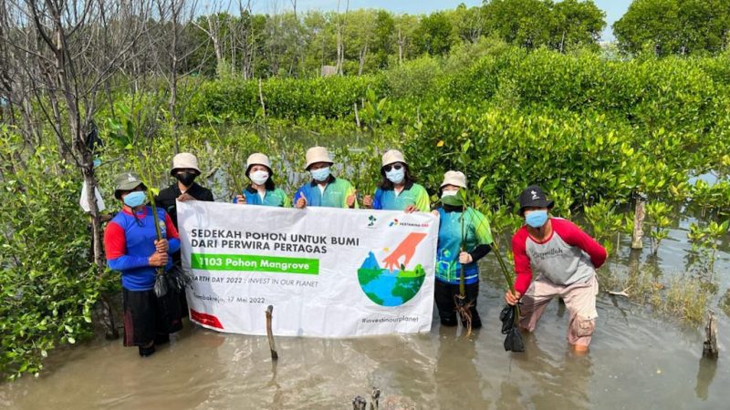 Subholding Gas Pertamina Tanam 1.103 Mangrove, Cegah Intrusi Air Laut di Pesisir Tambakrejo