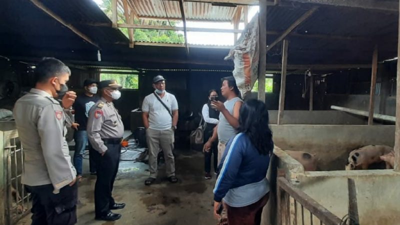 Pemkab Samosir Bersama Polres Antisipasi Wabah PMK