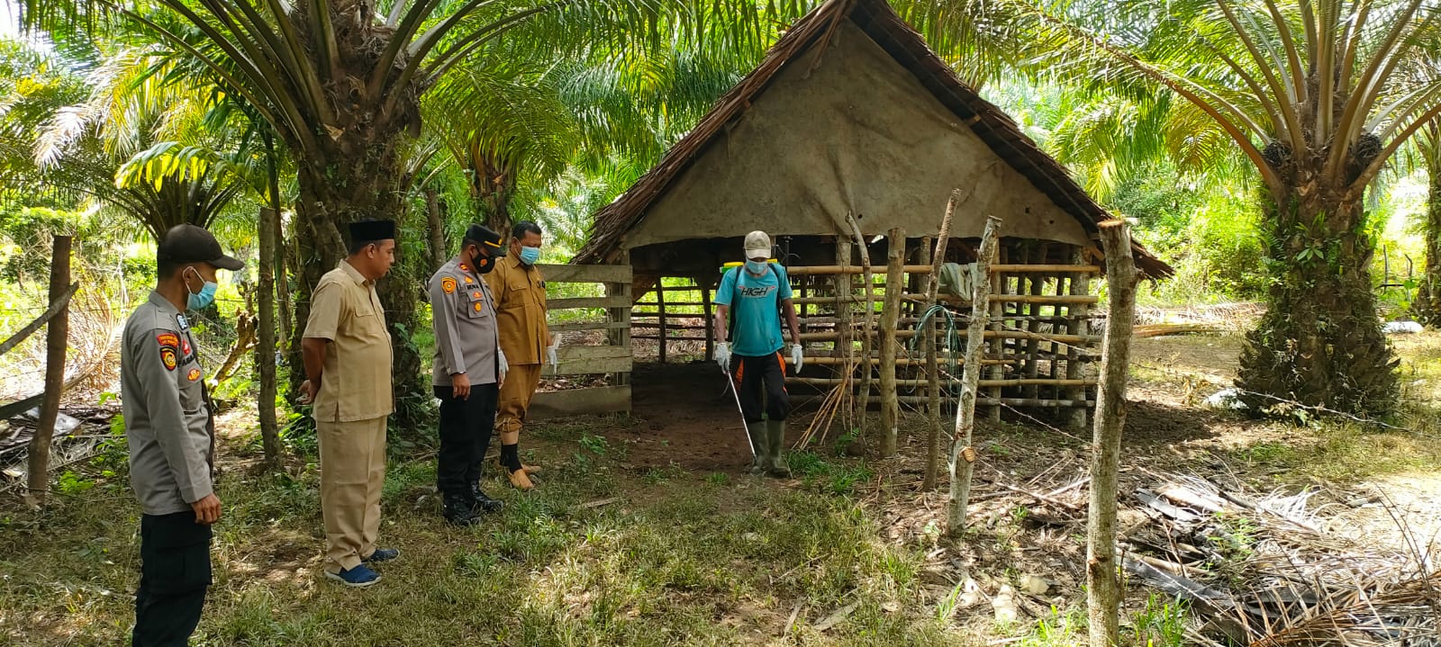 Dinas Peternakan Bersama Polsek Arongan Lambalek Lakukan Pengecekan Sapi