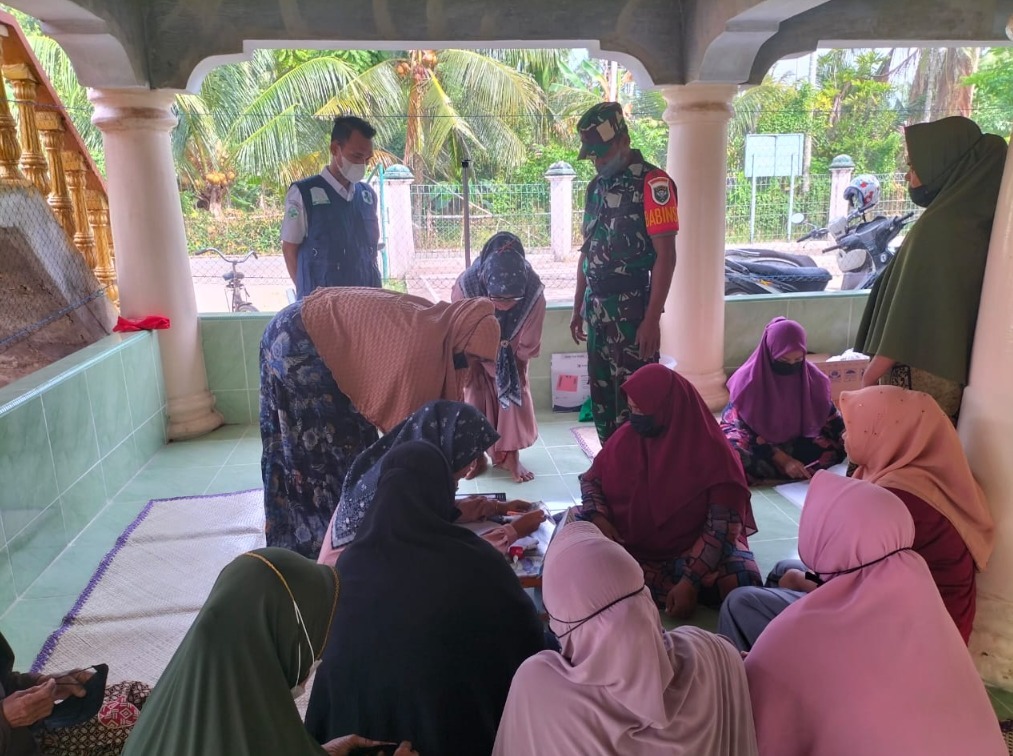 Kendalikan Hama Ulat, Babinsa Dampingi Penyemprotan Tanaman Padi