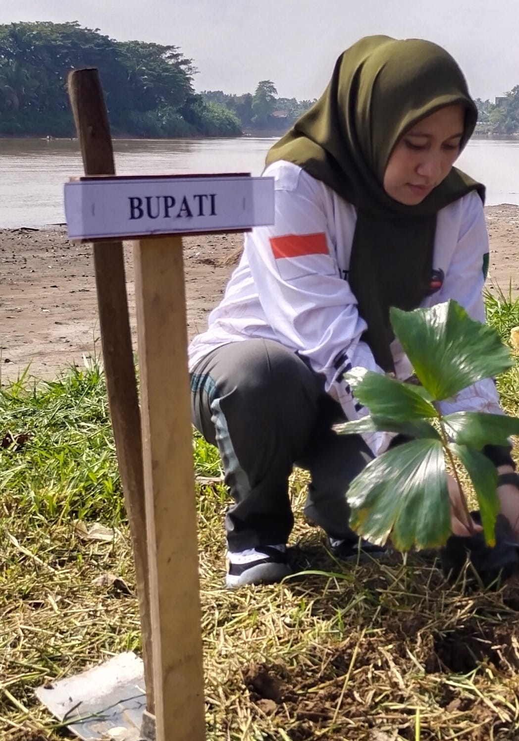 Peringatan HLH 2022, Bupati Lakukan Penanaman Pohon
