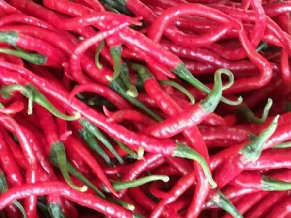 Sembako Jenis Cabe di Pasar Inhu Alami Kenaikan