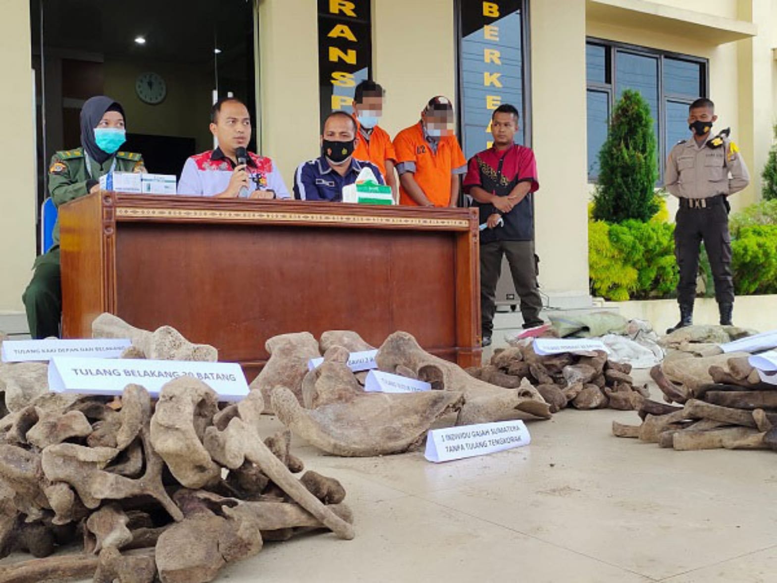 Jual Tulang Belulang Gajah di Tangkap Sat Reskrim Polres Langsa