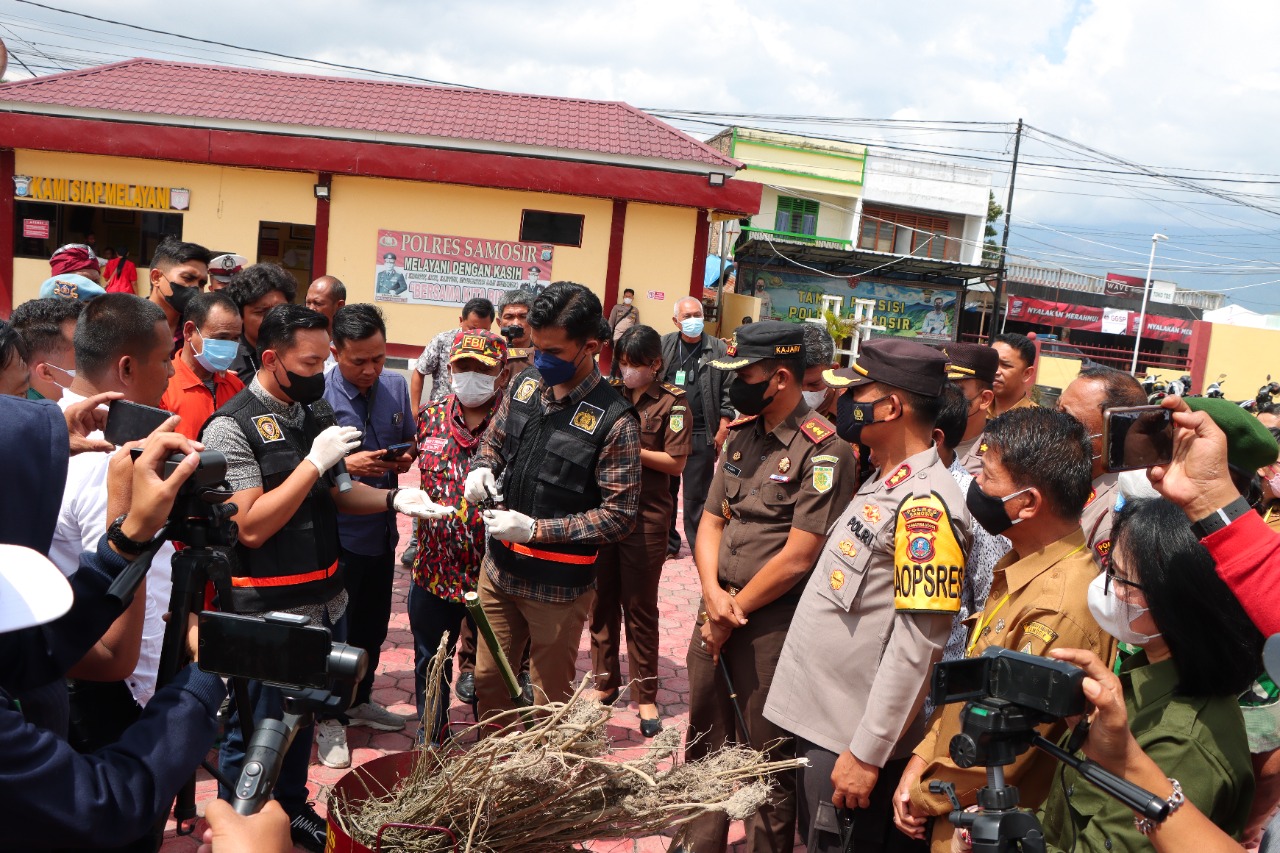 Bupati Samosir Hadiri Pemusnahan Barang Bukti Narkotika