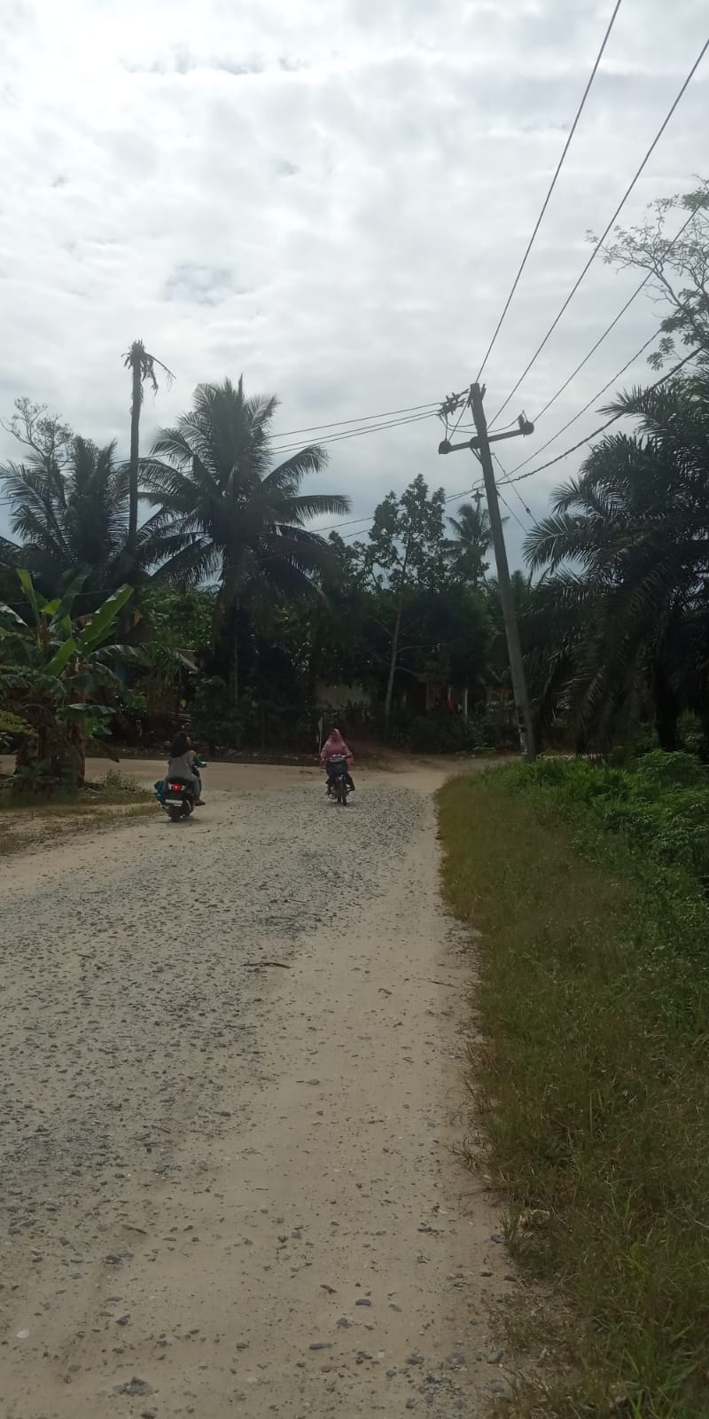 PLN Belum Juga Perbaiki Tiang Listrik di Dusun Berapit Desa Sibabat