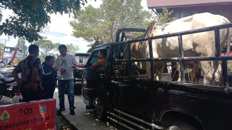DKPP Pemkab Samosir Perketat Lalulintas Ternak, Cegah PMK