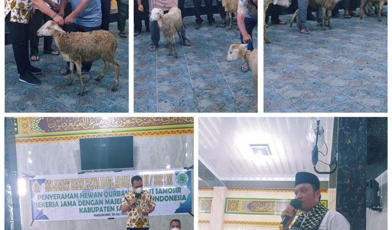 Pemkab Samosir Serahkan Hewan Kurban Kepada Ketua MUI