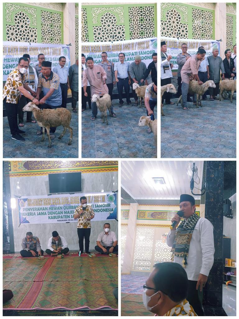 Pemkab Samosir Serahkan Hewan Kurban Kepada Ketua MUI