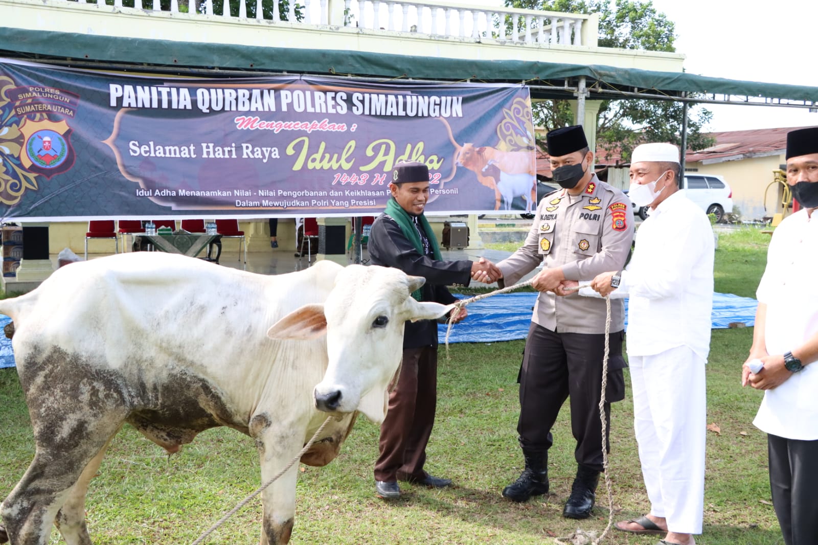 Polres Simalungun Potong Hewan Kurban 10 Sapi dan 4 Kambing Semua Sehat Dan Layak