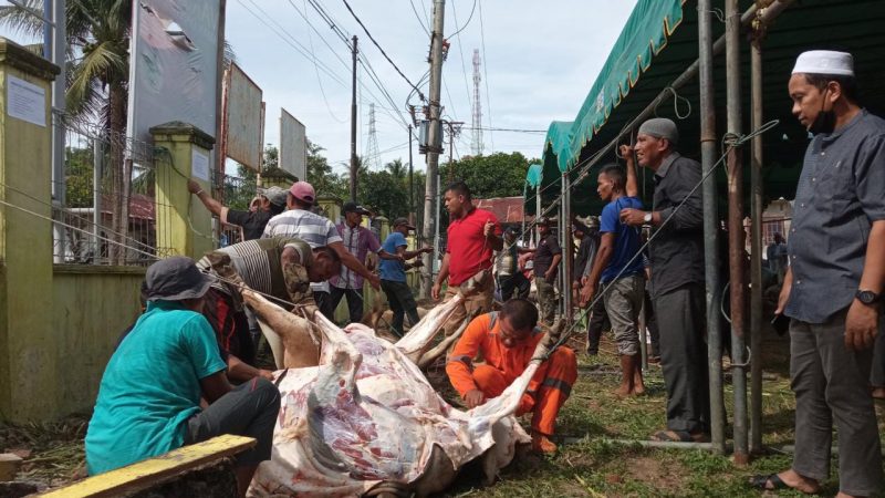 PT Sumberdaya Sewatama Sumbang Hewan Kurban Untuk Warga Lingkungan