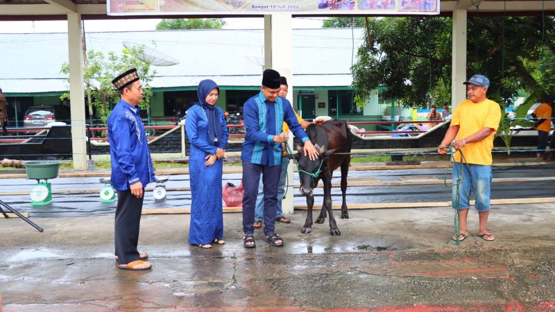 Idul Adha 1443 H, Polres Inhu Sembeli 13 Hewan Kurban
