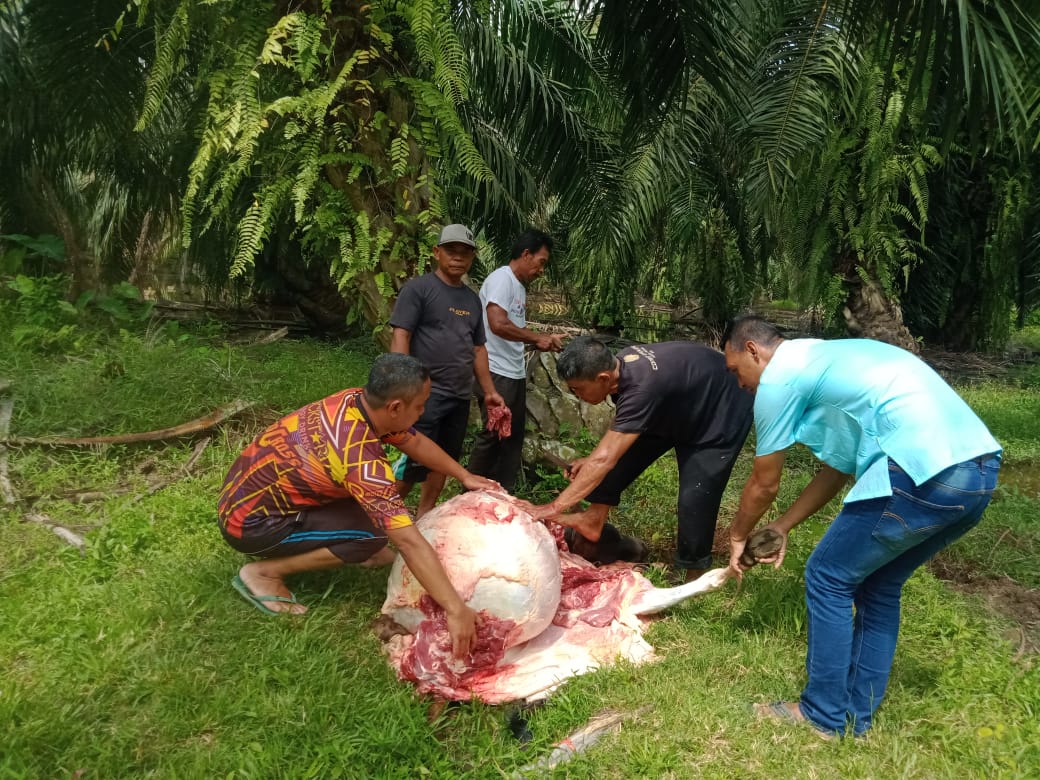 Antusias Warga Pondok Kemuning, Sembelih 28 Ekor Hewan Qurban