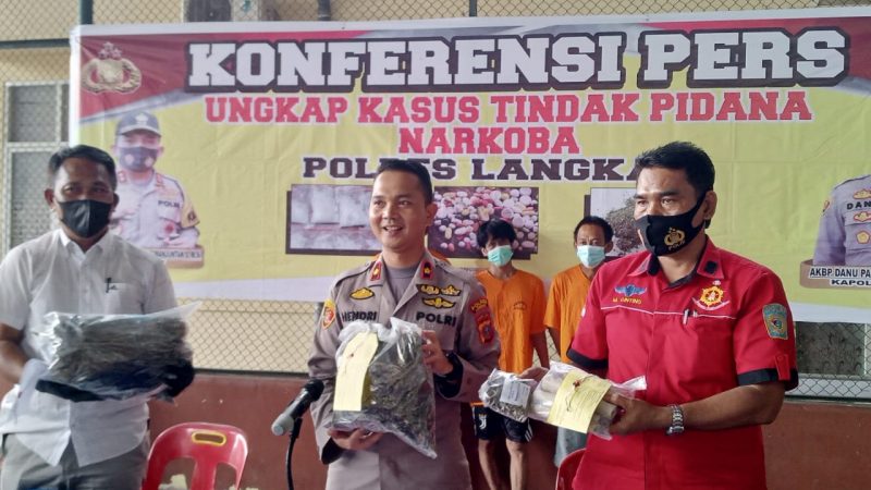 Polres Langkat Berhasil Amankan 2.03 kg Daun Ganja Kering Dalam Waktu 2 (dua) hari terakhir