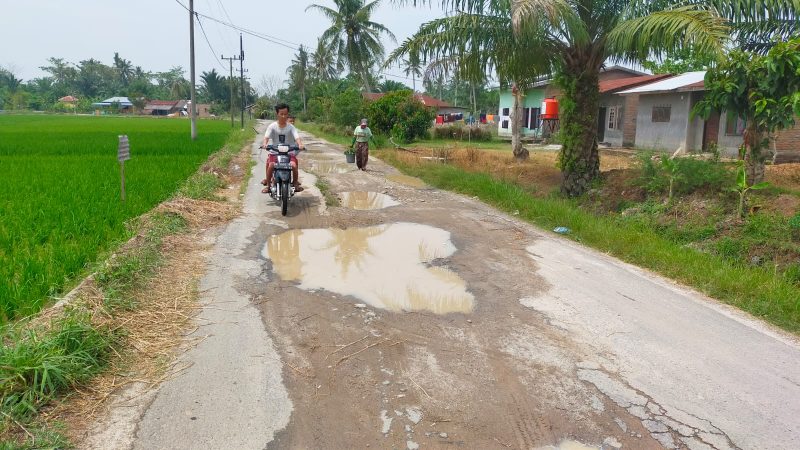 Masyarakat Petani Keluhkan Badan Jalan Bagaikan “Kolam Ikan”, Kades Sei Rejo : Harapan Saya Dibagusi