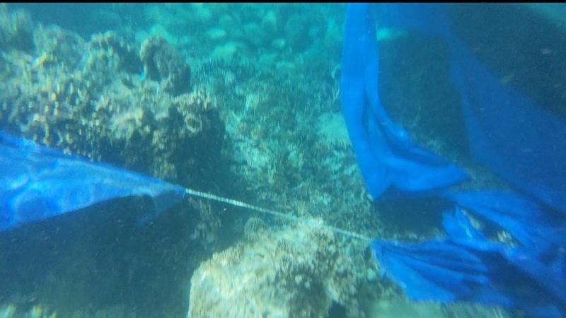 Marak Bom Terumbu Karang Diperairan TNK , HNKMB Sebut Kepala BTNK Tidak Becus Dalam Pengawasan