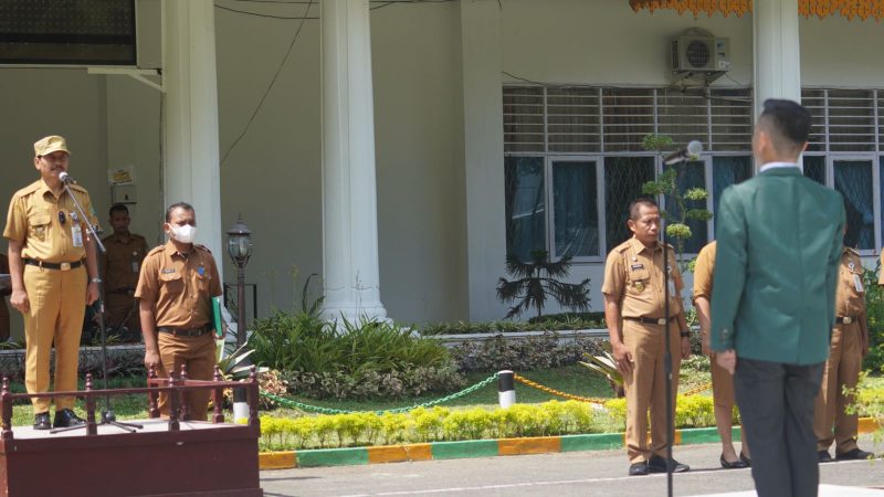 174 Mahasiswa FISIP USU, PKL di Padang Tualang Langkat