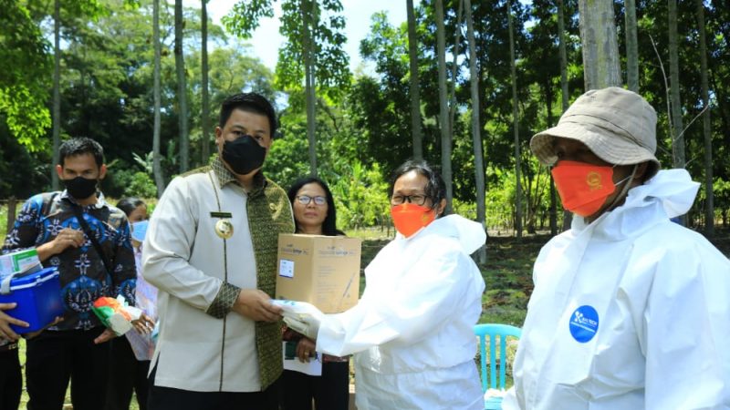 Bupati Samosir, Canangkan Vaksinasi PMK