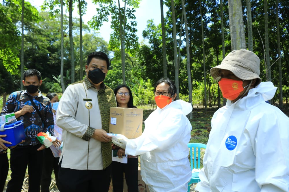 Bupati Samosir, Canangkan Vaksinasi PMK