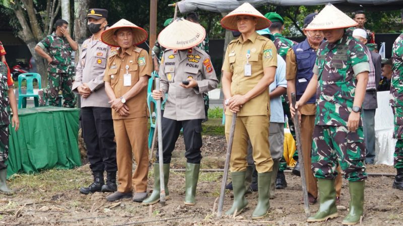 Penanaman Jagung Kodam I/BB Dukung Ketahanan Pangan Nasional