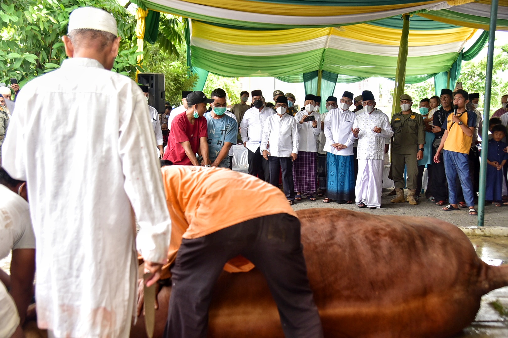 Iduladha 1443 Hijriah, Gubernur Edy Rahmayadi Kurbankan Sembilan Ekor Sapi