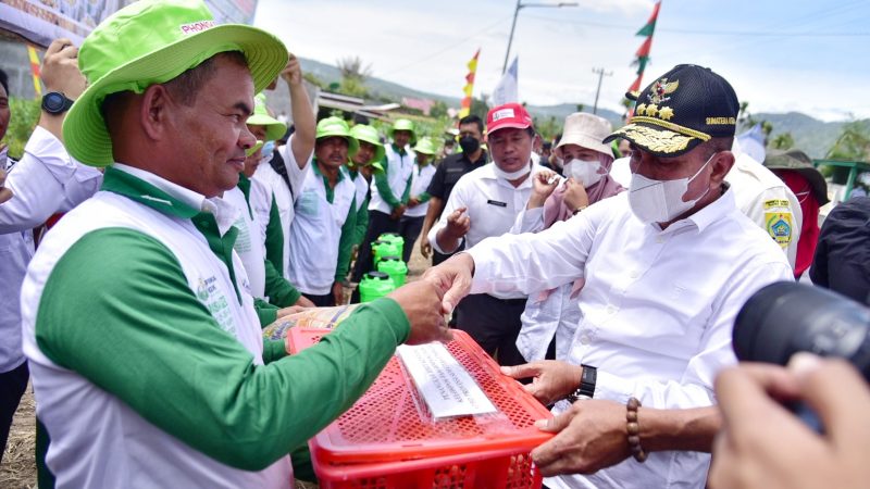 Tanam Jagung dan Serahkan Bantuan, Edy Rahmayadi Optimis Pakpak Bharat Bisa Jadi Produsen Jagung Utama Sumut