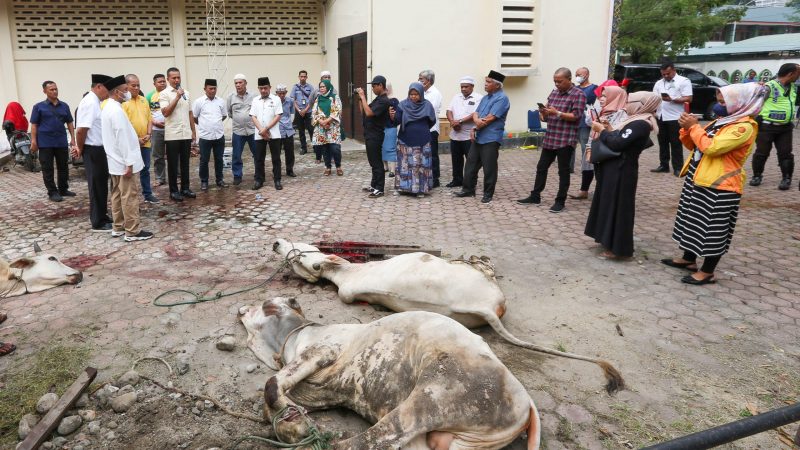 Musa Rajekshah Sembelih Hewan Kurbannya di Kantor PWI Sumut
