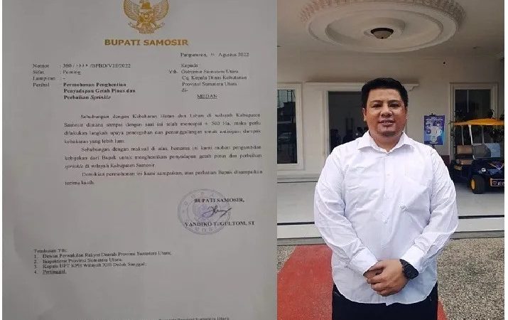 Bupati Samosir Minta Gubsu Edy Rahmayadi Hentikan Penyadapan Getah Pinus