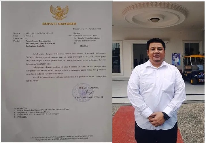 Bupati Samosir Minta Gubsu Edy Rahmayadi Hentikan Penyadapan Getah Pinus