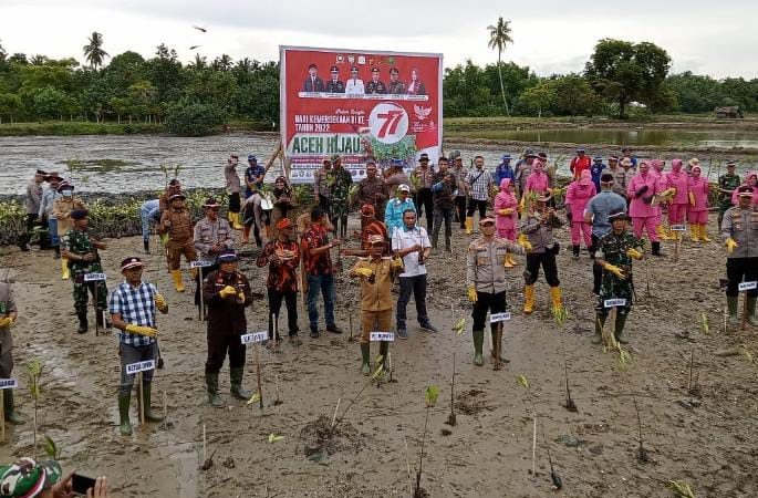 Forkopimda Aceh Timur Tanam Ribuan Mangrove