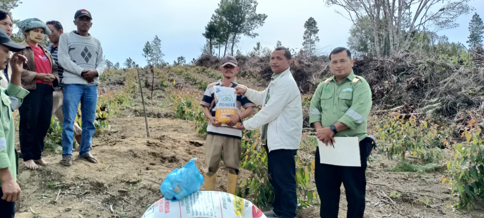 TPL ( Toba Pulp Lestari) Adakan Kerjasama Dalam Program Intercrop