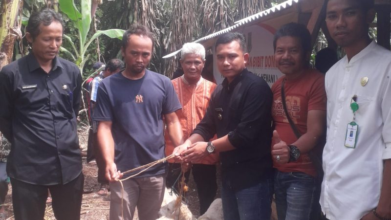 Lounching bantuan 60 ekor Domba, Masyarakat Cipancur Dukung Program Ketahanan Pangan