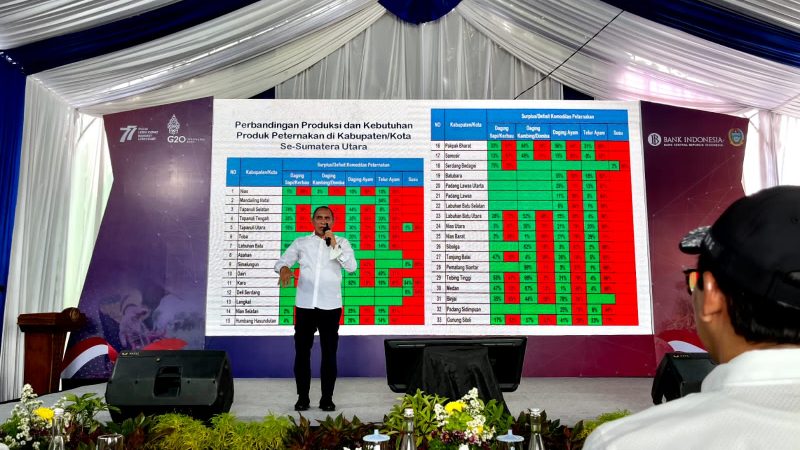 Cabai Merah dan Bawang Merah Aman, Bawang Putih Masih Impor dari Singapura, Gubsu Edy Heran, Singapura Tanamnya Dimana?