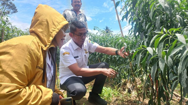 Stabilkan Harga Pangan Pokok, Wali Kota Kirim Jajaran PUD Pasar Medan ke Lima Kabupaten
