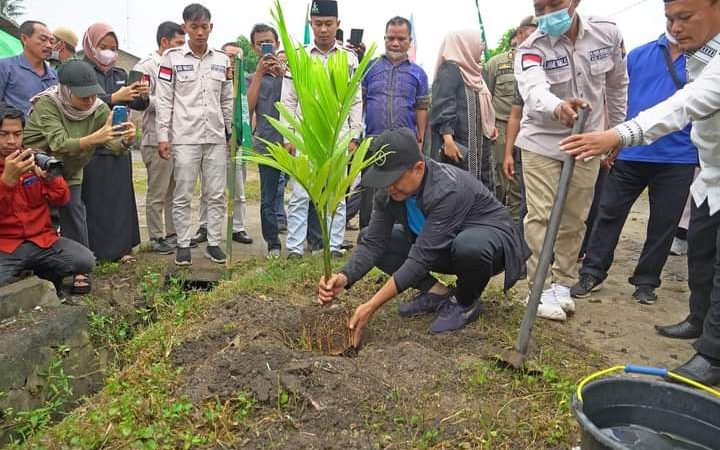 Zahir Dukung Penghijauan di Desa Simodong Tanam Bibit Pohon Pinang