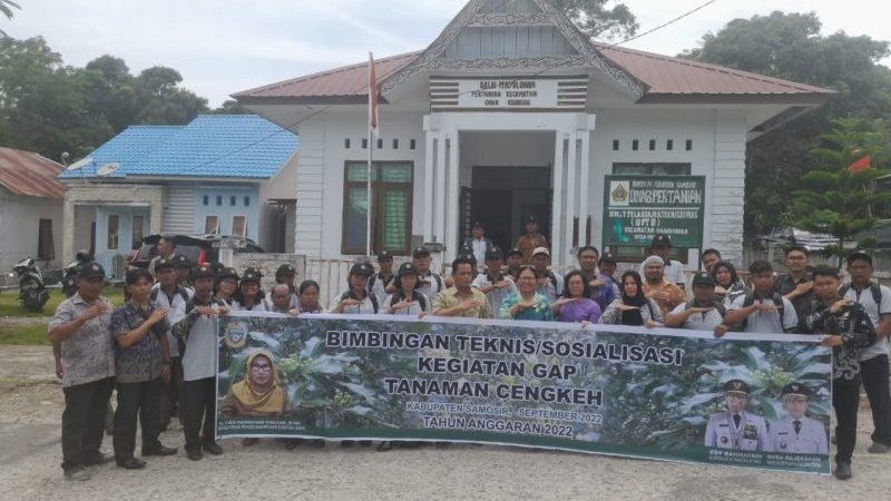 Dinas Ketapang dan Pertanian Kab Samosir Bangkitkan Kejayaan Cengkeh