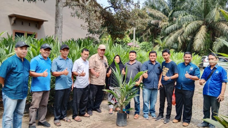 Joni Walker : Partai NasDem mengakar di hati rakyat