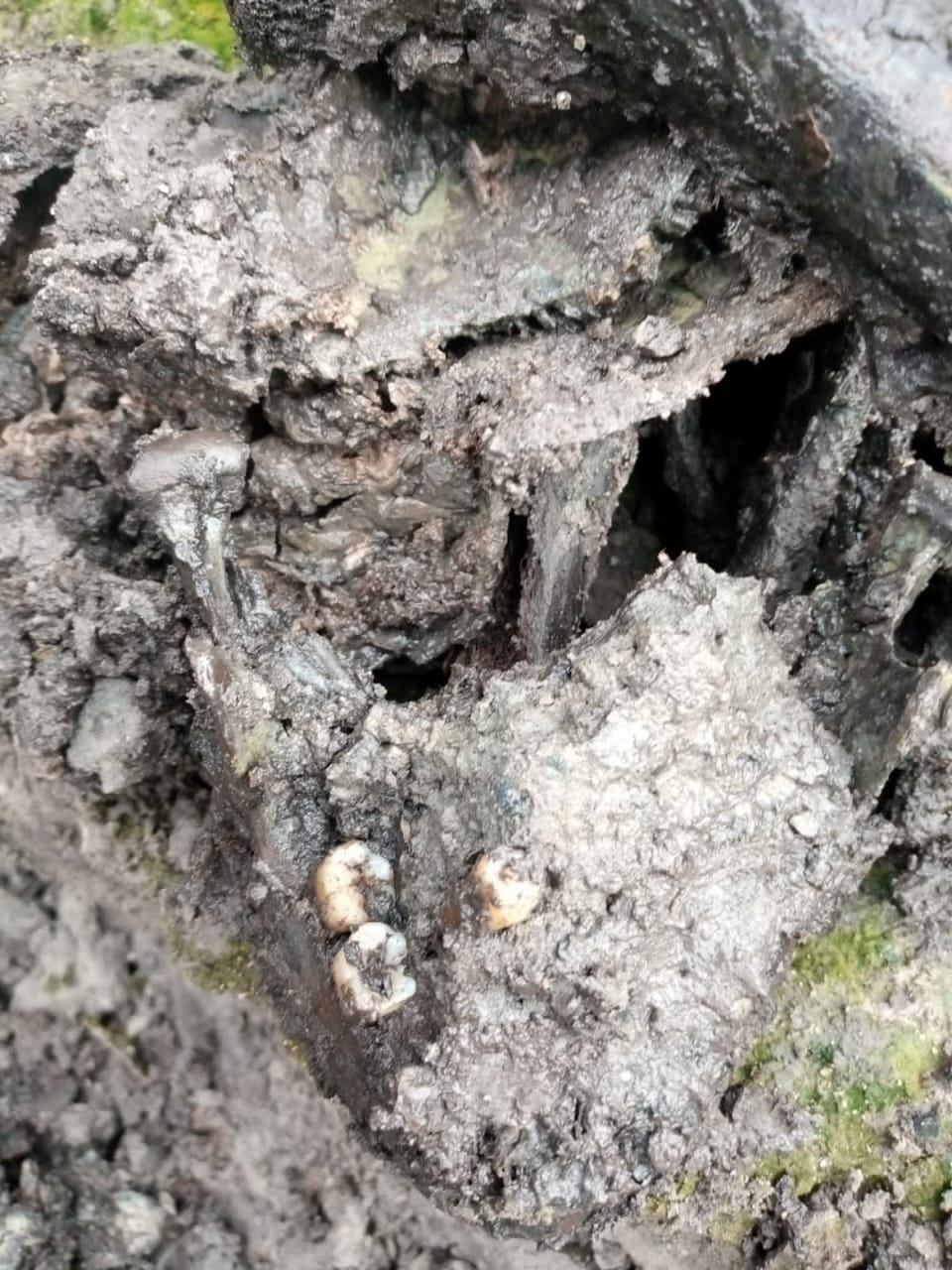 4 Tengkorak Manusia di Temukan di Aliran Sungai Situmandi, Warga Sekitar Menyebut Itu Leluhur Mereka