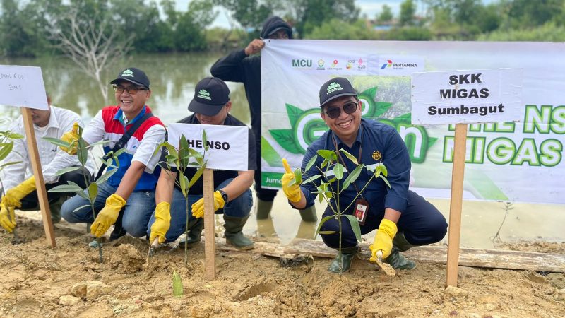 PHE NSO dan Unimal Tanam 5.000 Mangrove di DAS Krueng Cunda Lhokseumawe