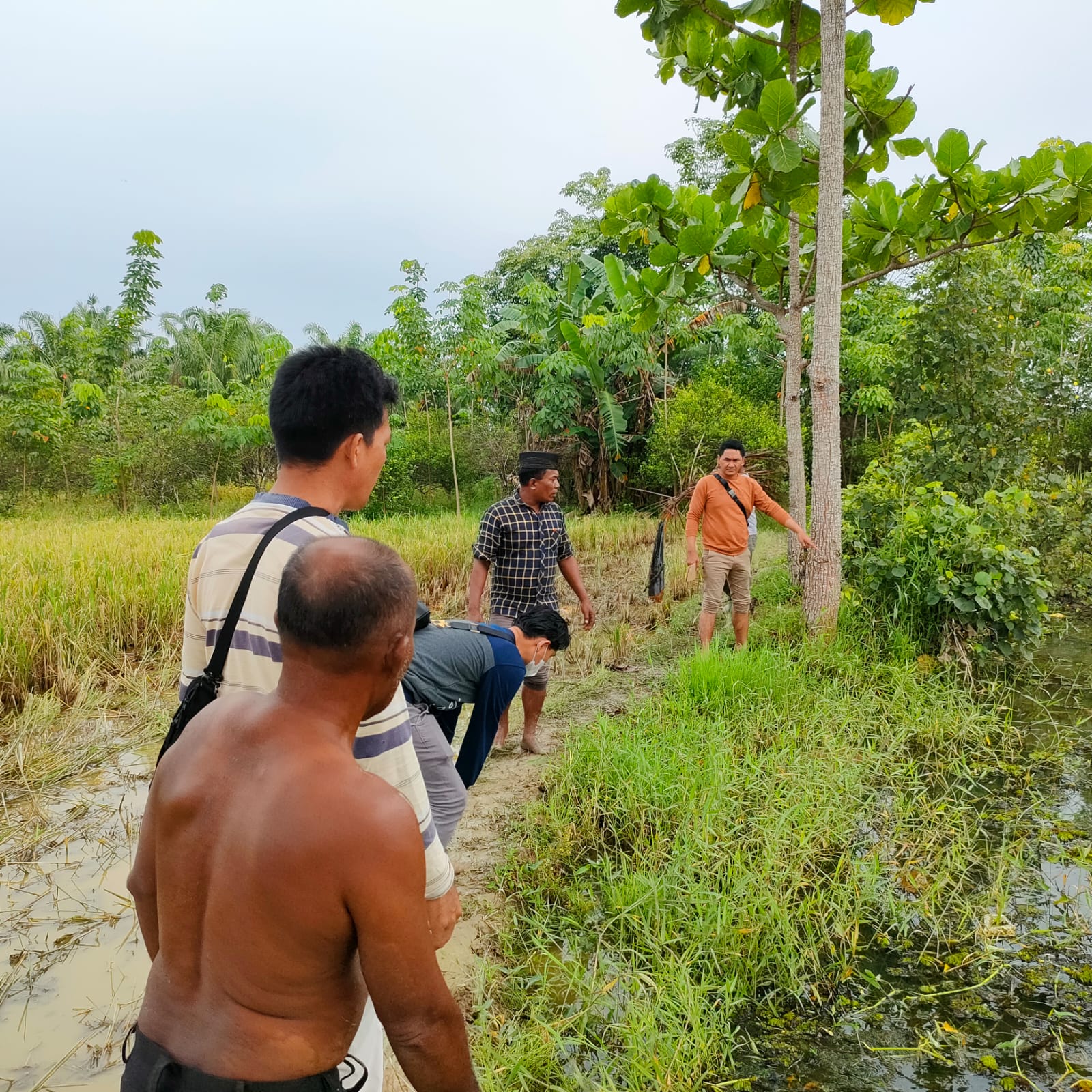 Diduga Pekaku KDRT Ditemukan Meninggal Dunia Di kolam Belakang Rumahnya