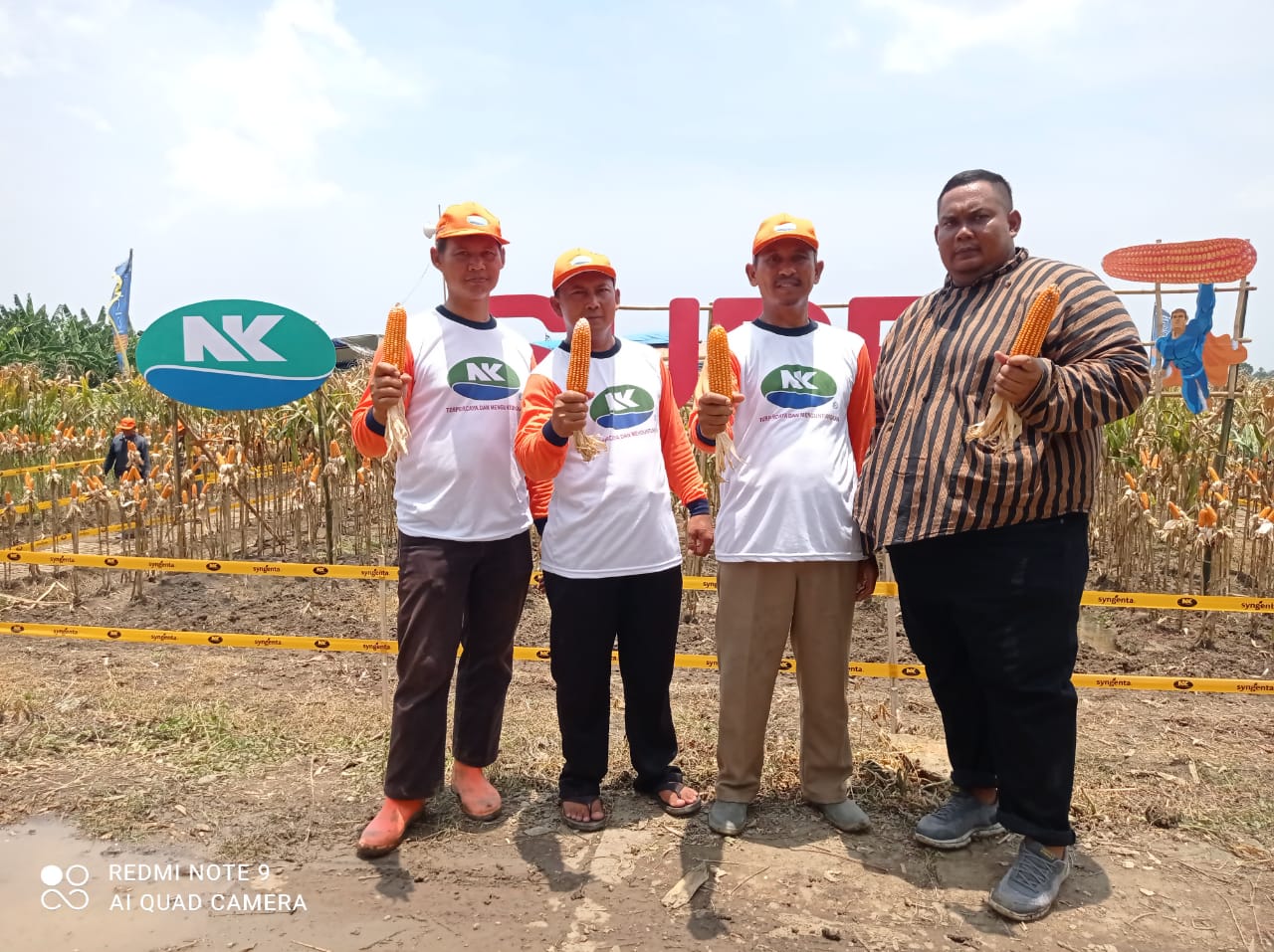 PT. Syngenta Perkenalkan Produk Pertanian jagung N6501 Super “kebanggaan Petani” Kendal