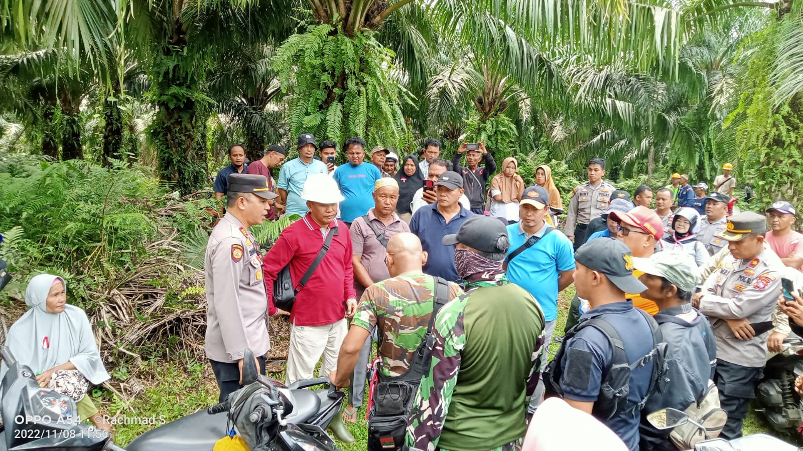 Puluhan Tahun Tidak Menikmati Hasil Plasma, Kaum Imbang Langit Tuntut PTPN-VI Kembalikan Hak Tanah Ulayat Kepada Kaumnya